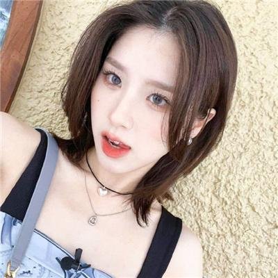 社会学家和小熊